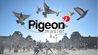 PigeonMaster  Comment démarrer [upl. by Cobby]