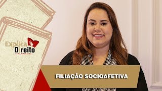 Explica Direito Filiação Socioafetiva  2019 [upl. by Emogene293]