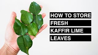 How to store fresh kaffir lime leaves │Pana Napa Kitchen [upl. by Eednus]