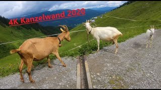 4K50 Kanzelwand Kleinwalsertal Wanderung 2020 [upl. by Idid]