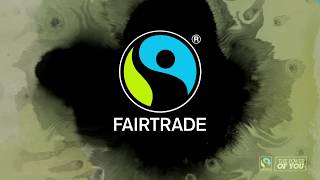 The Truth About Fair Trade Coffee [upl. by Klug]