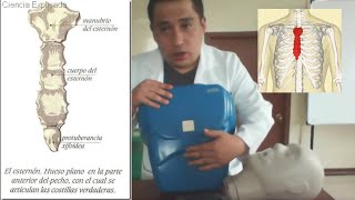 🌟REANIMACIÓN CARDIOPULMONAR RCP BÁSICO EN ADULTO práctico🌟 [upl. by Mortensen495]