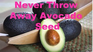 Never Throw Away Avocado Seed  Life Hacks [upl. by Twila180]