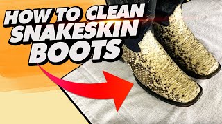 How To Clean Python Boots Or Any Snakeskin Boots [upl. by Healion821]