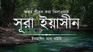 অন্তর শীতল করা সূরা ইয়াসিন এর তিলাওয়াত ┇ Surah Yasin Recited by Ismail An Nouri ┇ An Nafee [upl. by Assina]