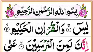 Surah Yaseen Full HD Colour Coded Arabic Text [upl. by Jankey]