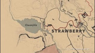 Red Dead Redemption 2  Doublecrested Cormorant Location [upl. by Airitak]