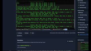 Skills Assessment  Web Fuzzing [upl. by Dressler709]