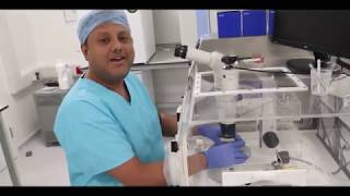 Inside the Lab Conventional IVF [upl. by Holds24]