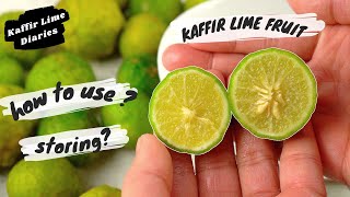 KAFFIR LIME FRUIT [upl. by Rafaelia]