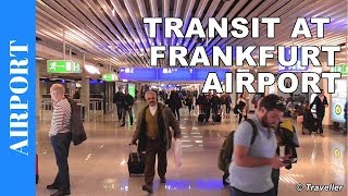 TRANSIT WALK AT FRANKFURT Airport FRA Terminal 1  Connection Flight Transfer Arriving amp Departing [upl. by Eninahs981]