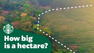 How big is a hectare [upl. by Karla963]