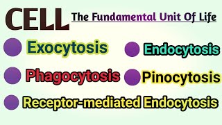 Exocytosis  Endocytosis  Phagocytosis  Pinocytosis  Receptor Mediated Endocytosis REM [upl. by Lebazi677]